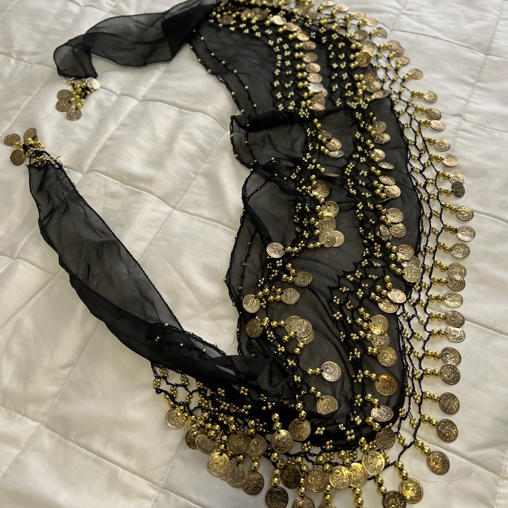 Chiffon Belly Dance Hip Scarf Beads & Coins